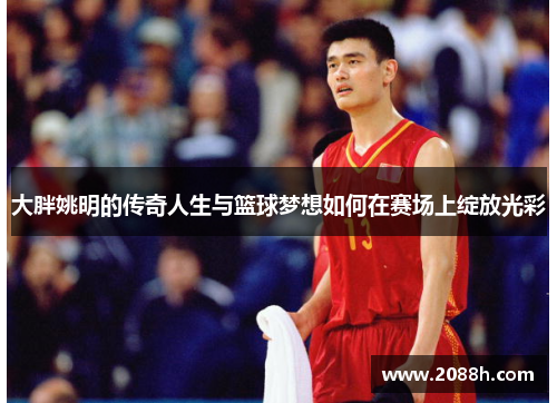 大胖姚明的传奇人生与篮球梦想如何在赛场上绽放光彩