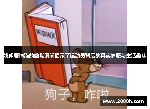 姚明表情猫的幽默瞬间揭示了运动员背后的真实情感与生活趣味