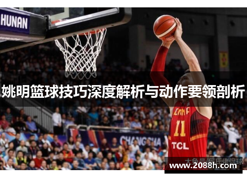 姚明篮球技巧深度解析与动作要领剖析