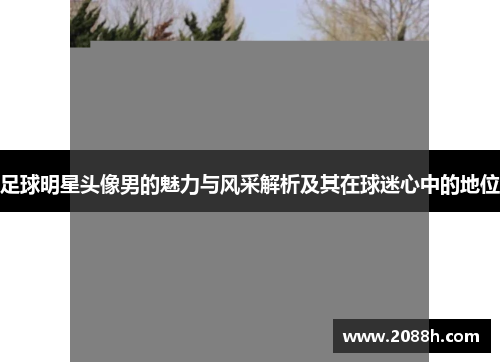 足球明星头像男的魅力与风采解析及其在球迷心中的地位