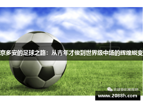 京多安的足球之路：从青年才俊到世界级中场的辉煌蜕变