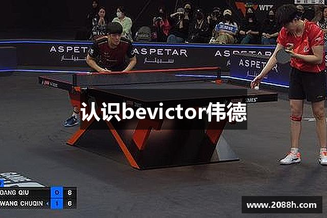 认识bevictor伟德